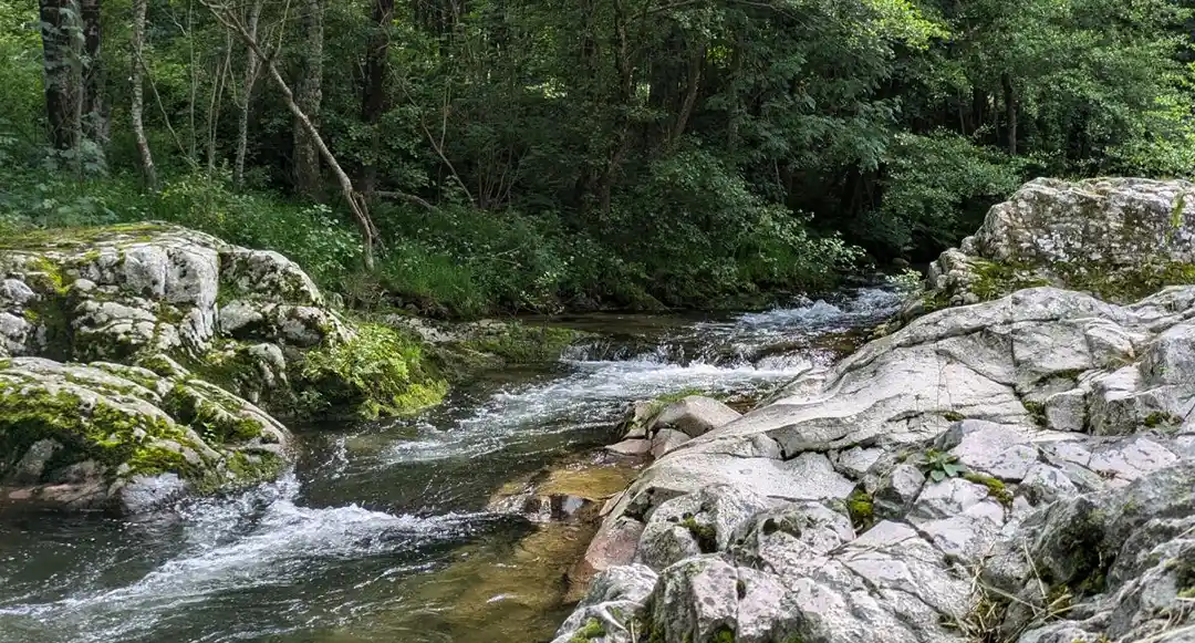 La rivière Glueyre à Albon d'Ardèche