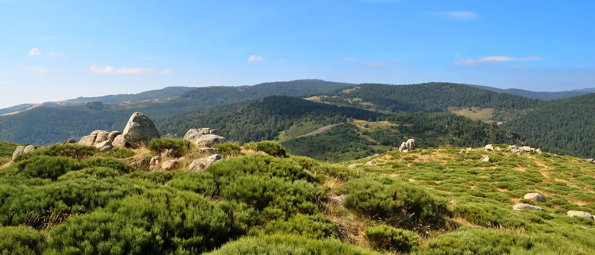 Serre du Champ de Maux à Albon d'Ardèche