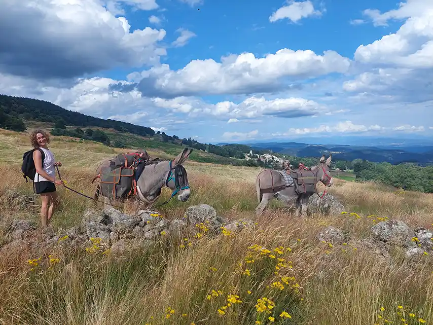 Tourisme vert à Albon d'Ardèche : randonnée avec un âne